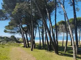 Bungalows Barbeito Natur 3000 apartamentos turísticos en Montalvo-Sanxenxo