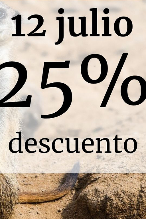 Descuento de verano:25%