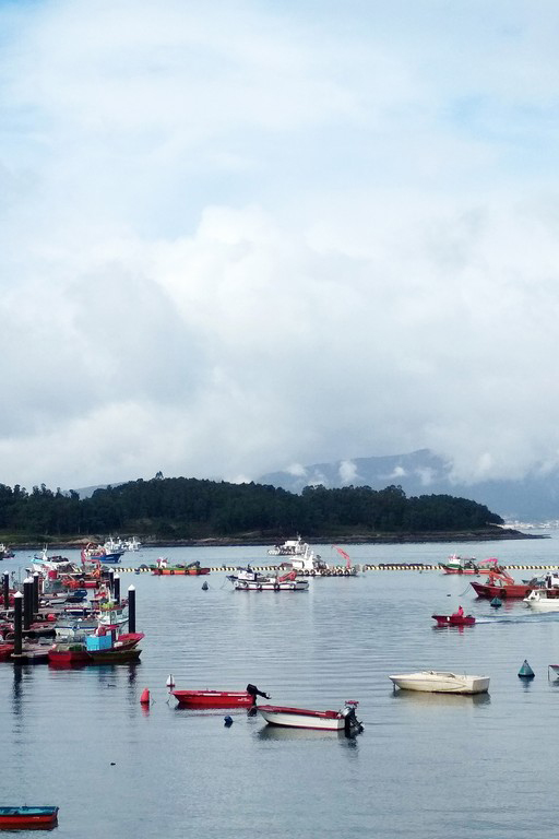 Oferta de Verano en Illa de Arousa