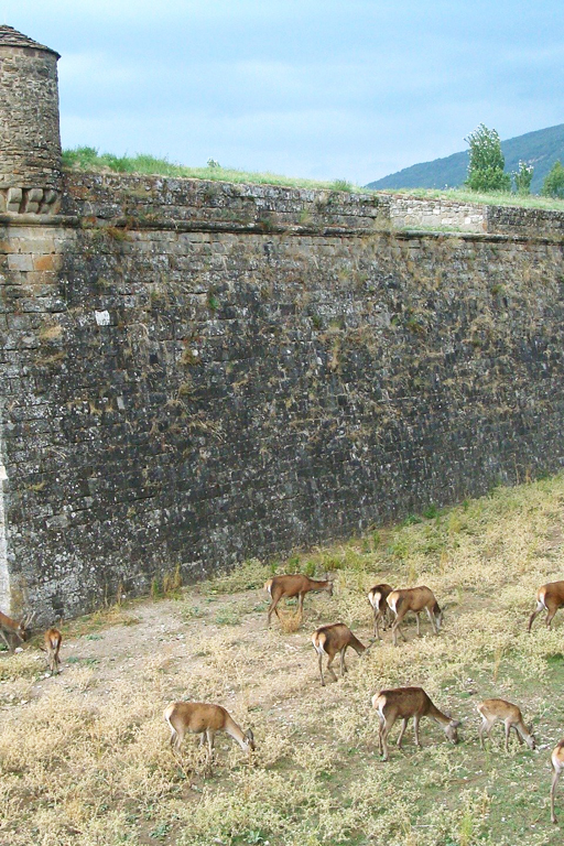 Oferta de Verano en Jaca