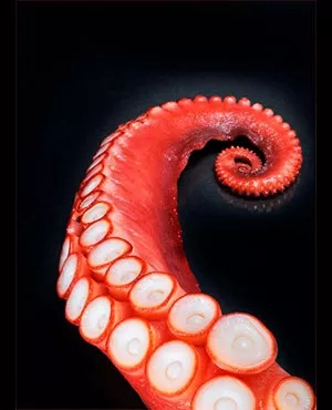 Fiesta del Pulpo de Illa de Arousa: Reserva al mejor precio