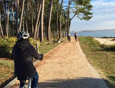 alquiler_bicicleta_10_11.webp
