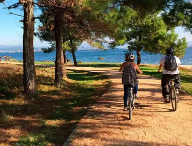 alquiler_bicicleta_4_11.webp