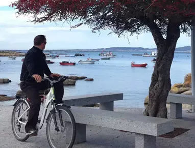 alquiler_bicicleta_7_11.webp