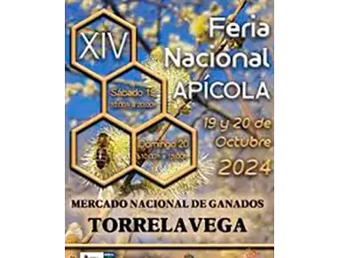 cartel24.webp